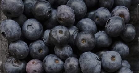 ‘No indication’ U.S. blueberry recall for death risk impacts Canada: CFIA