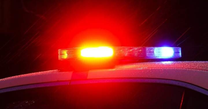 RCMP say man dead after being hit by train in Chilliwack, B.C. RCMP say man dead after being hit by train in Chilliwack, B.C.