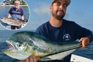 Exclusive | Mahi mahi invade NYC as waters warm — and tri-state fishermen are racing for the boats and catching their dinners
