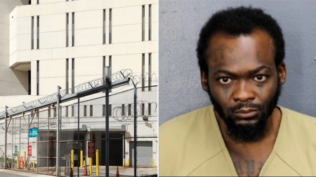 Florida man allegedly attacked sister with machete while she was sleeping next to toddler daughter Florida man allegedly attacked sister with machete while she was sleeping next to toddler daughter