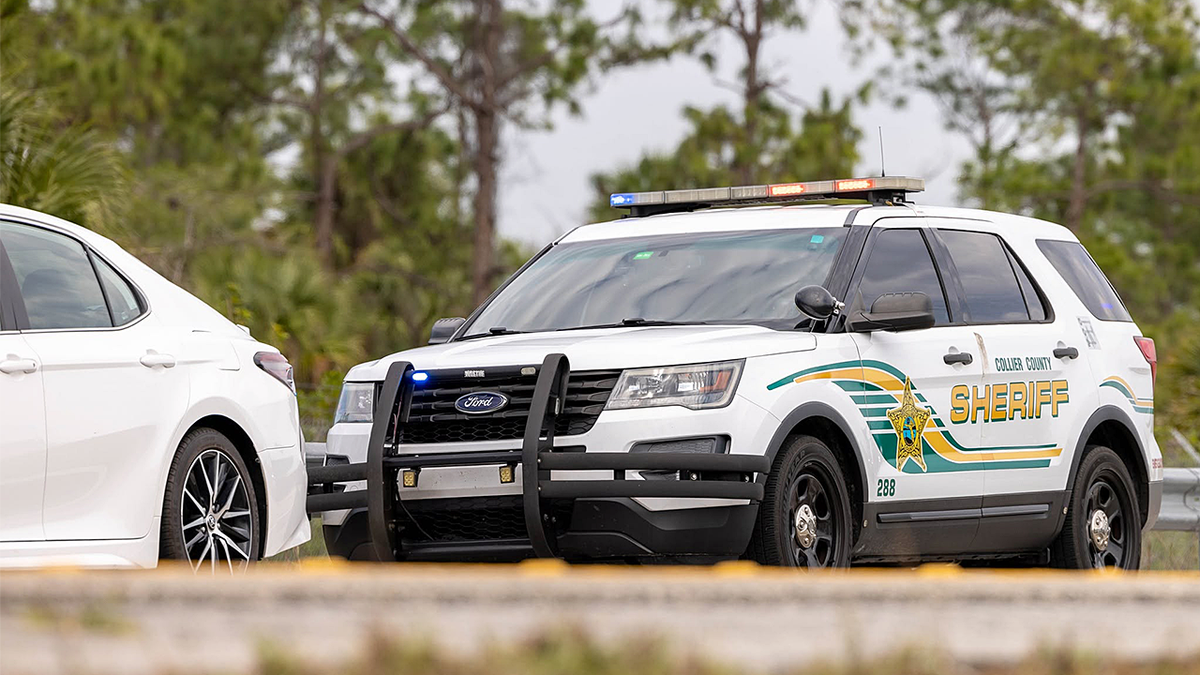 Collier County Sheriff's Office﻿ car