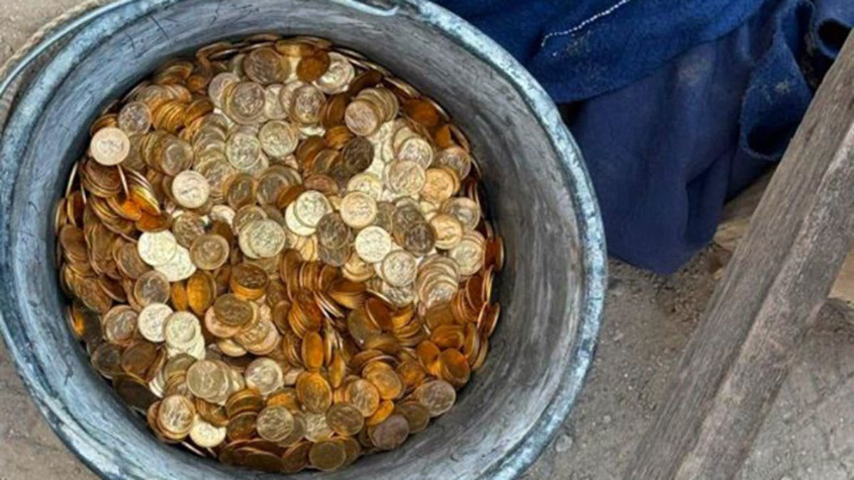 gold coins