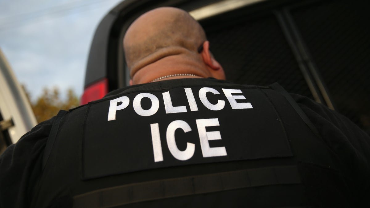 The back of a U.S. Immigration and Customs Enforcement officer wearing a vest labeled 