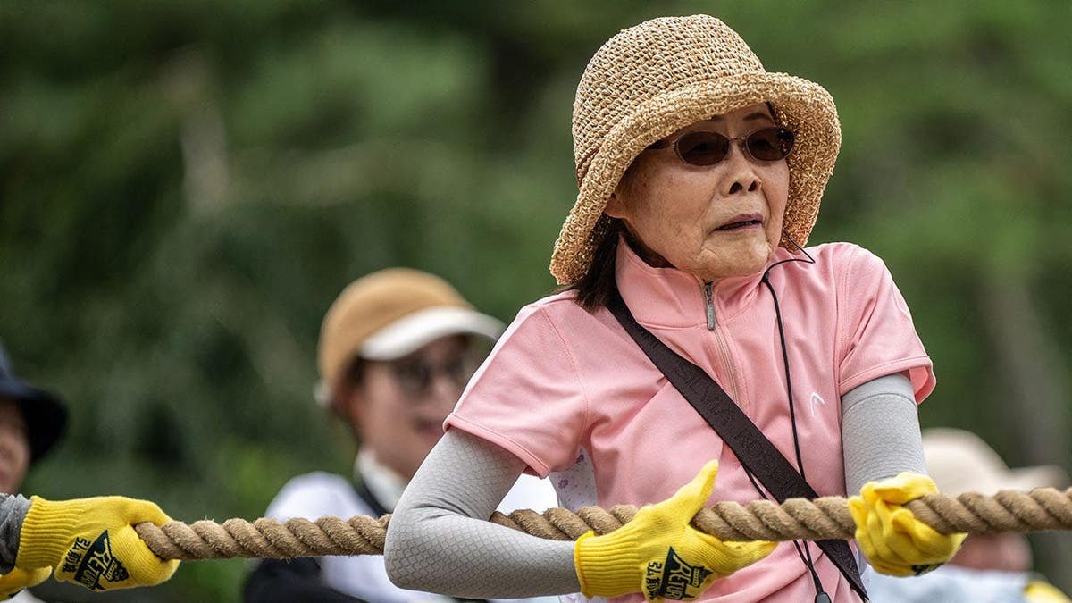 Participants pull Hirosaki Castle with ropes in Hirosaki, Aomori Prefecture.
