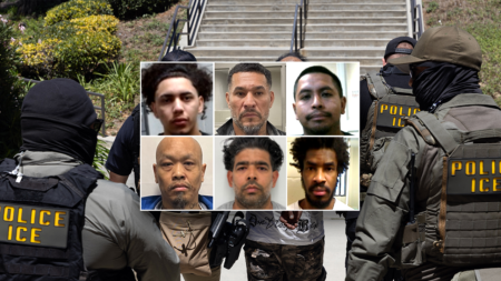 FIRST ON FOX: DHS points to ‘common sense’ reason for collapsing crime: ‘No surprise’