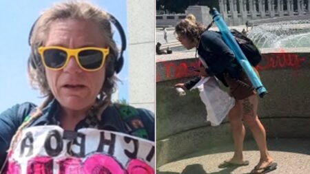 Woman accused of defacing WWII Memorial with spray paint indicted by federal grand jury Woman accused of defacing WWII Memorial with spray paint indicted by federal grand jury