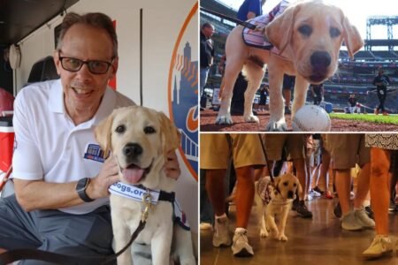 Meet the adorable and fluffy heir to Howie Rose’s legacy already taking over Citi Field