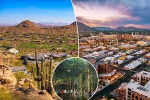Inside the plan to grow a huge rainforest in the Arizona desert