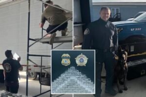 Russian national arrested with nearly 800 pounds of meth in ‘one of the largest’ busts in Louisiana history