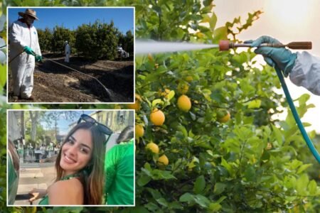 California restricts toxic weedkiller as SoCal community battles rare cancer cluster fears California restricts toxic weedkiller as SoCal community battles rare cancer cluster fears
