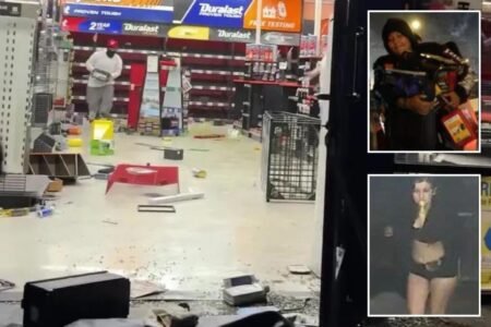Mob of looters who struck LA AutoZone twice in 24 hours pictured by police
