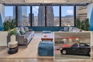 Exclusive | Troubled homeless agency rents digs in luxe LA tower – with helipad, car service and cold plunge Exclusive | Troubled homeless agency rents digs in luxe LA tower – with helipad, car service and cold plunge