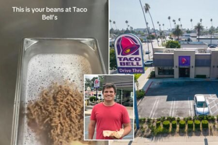 Taco Bell diners vow never to eat beans again after worker exposes how beans are made: ‘Disgusting’