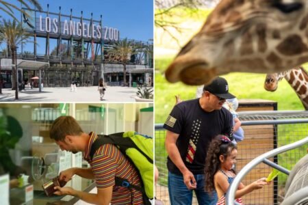 LA Zoo set for another price hike— as visitors vanish and crisis looms LA Zoo set for another price hike— as visitors vanish and crisis looms