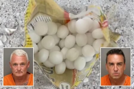 Florida business owners allegedly scattered 1,500 mothballs on beach to scare off endangered birds Florida business owners allegedly scattered 1,500 mothballs on beach to scare off endangered birds