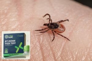 ‘TickCrusher’ kit that could help you dodge weeks of Lyme disease anxiety in 15 minutes