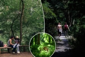 Exclusive | NYC is more than 20 percent open space — and most spend their lives rushing past some of our best, secret parks Exclusive | NYC is more than 20 percent open space — and most spend their lives rushing past some of our best, secret parks