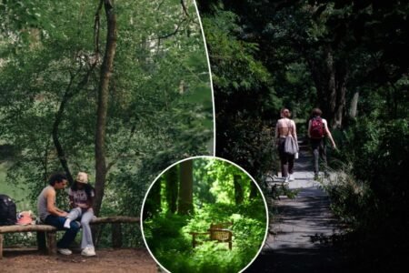 Exclusive | NYC is more than 20 percent open space — and most spend their lives rushing past some of our best, secret parks Exclusive | NYC is more than 20 percent open space — and most spend their lives rushing past some of our best, secret parks