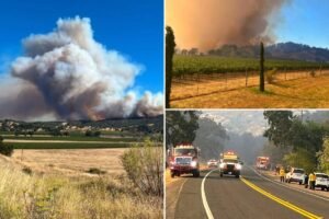 Fast-moving Feliz Fire wildfire explodes in Northern California as urgent evacuation orders issued Fast-moving Feliz Fire wildfire explodes in Northern California as urgent evacuation orders issued