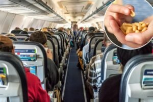 New hypoallergenic peanuts could bring the salty snacks back to airplanes and school cafeterias