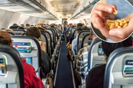 New hypoallergenic peanuts could bring the salty snacks back to airplanes and school cafeterias New hypoallergenic peanuts could bring the salty snacks back to airplanes and school cafeterias