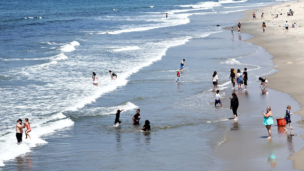 Crowd of people swimming and taking photos at the beach.