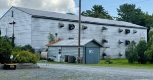 Faulty extension cord blamed for N.S. fire that killed 10K chickens Faulty extension cord blamed for N.S. fire that killed 10K chickens
