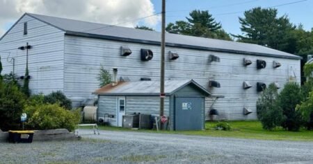 Faulty extension cord blamed for N.S. fire that killed 10K chickens
