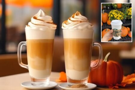 Pumpkin spice season in full swing as Americans embrace fall traditions earlier than ever