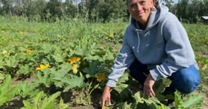 Pumpkin problems: Alberta’s wet summer affecting annual crop
