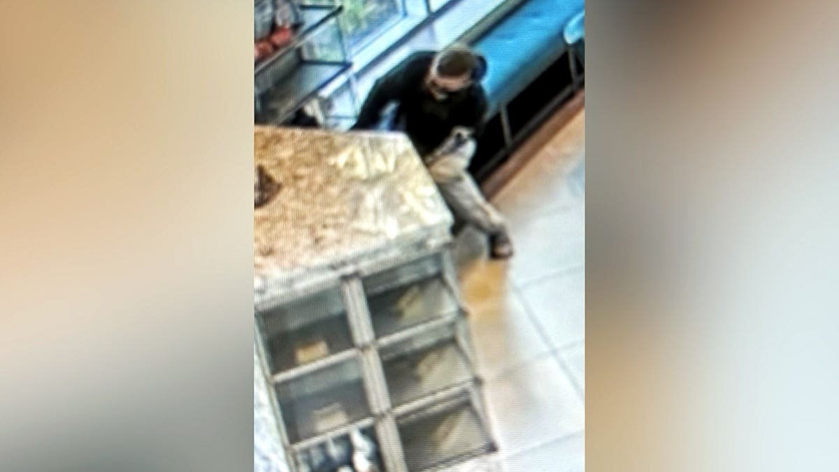 Surveillance footage shows a suspect robbing a mausoleum.
