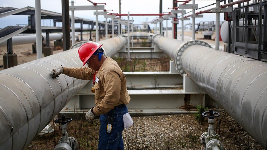 Worker at the Strategic Petroleum Reserve