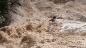 Tourists cling to each other in desperate struggle as raging flood sweeps them down waterfall