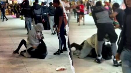 Massive brawl erupts at Wisconsin State Fair as seven arrested during chaotic closing hours Massive brawl erupts at Wisconsin State Fair as seven arrested during chaotic closing hours
