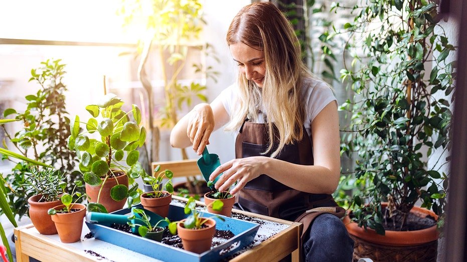 A woman gardening.