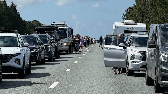 Several people could be seen out of their cars on the highway during the delay. 