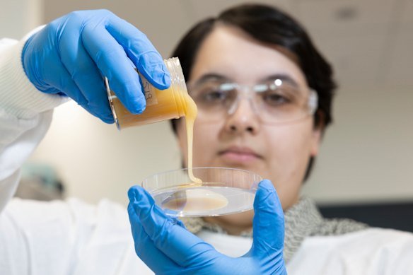 Some scientists, including microbiologist Dr Kenya Fernandes, have turned to natural solutions like honey to address the critical global health crisis of antimicrobial resistance.