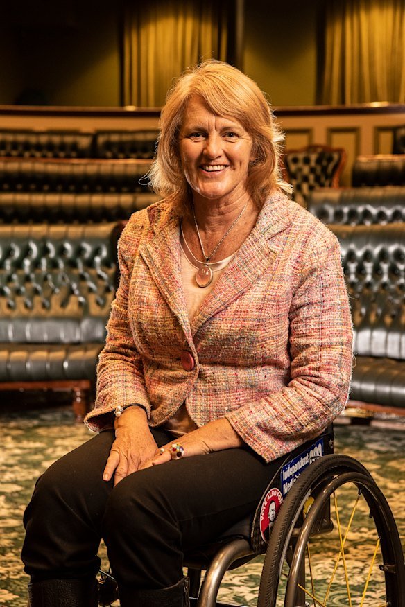 MP Liesl Tesch tries to “just have a thick skin and move on”, but is now calling for greater security measures for female politicians.