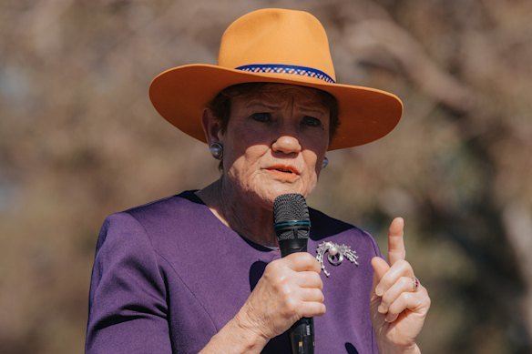 One Nation leader Pauline Hanson in the Hunter Valley last week.