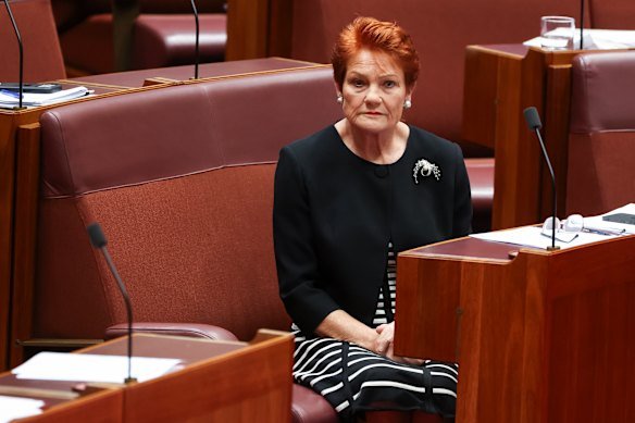 Hanson in the Senate on Wednesday.
