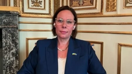 Video. We need to use Russian assets to fund Ukraine, Swedish Foreign Minister says