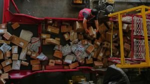 EU halves cheap parcel influx in bid to rein in Chinese e-commerce EU halves cheap parcel influx in bid to rein in Chinese e-commerce