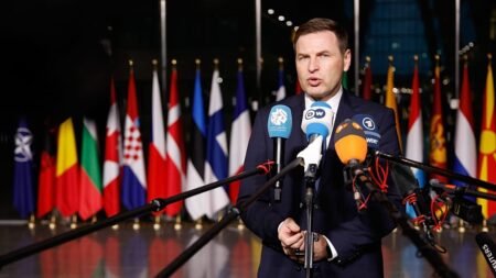Estonian defence minister quits over €70m EU-funded arms scandal Estonian defence minister quits over €70m EU-funded arms scandal