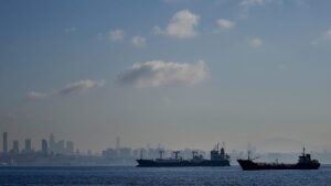 Tanker captain arrested over cargo ship sinking off Istanbul Tanker captain arrested over cargo ship sinking off Istanbul