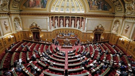 France’s far-right National Rally gains ground in Senate poll