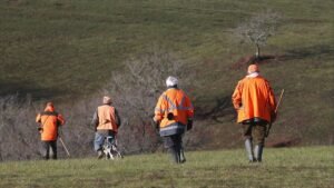French billionaire Olivier Bouygues on trial in illegal hunting case French billionaire Olivier Bouygues on trial in illegal hunting case