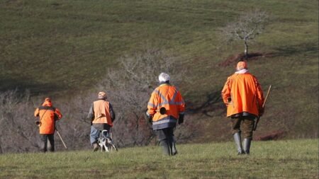 French billionaire Olivier Bouygues on trial in illegal hunting case French billionaire Olivier Bouygues on trial in illegal hunting case