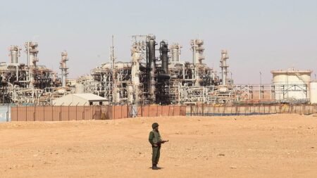 Germany eyes Algerian gas to diversify supply, foreign minister says Germany eyes Algerian gas to diversify supply, foreign minister says