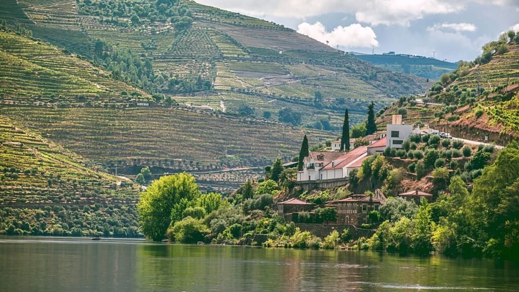 The best food and drink tours worth travelling for The best food and drink tours worth travelling for