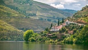 The best food and drink tours worth travelling for